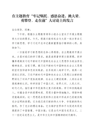 在主题教育“牢记嘱托、感恩奋进，挑大梁、勇攀登、走在前”大讨论上的发言