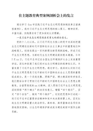 在主题教育典型案例剖析会上的发言