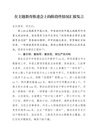 在主题教育推进会上的阶段性情况汇报发言