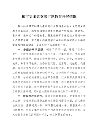 振宇集团党支部主题教育开展情况