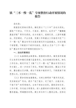 镇“三不一慢一乱”专项整治行动开展情况的报告