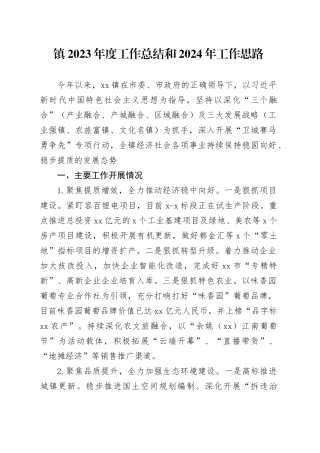 镇2023年度工作总结和2024年工作思路（20231205（）