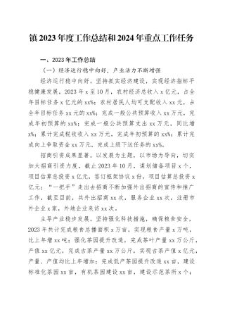 镇2023年度工作总结和2024年重点工作任务（20231109）