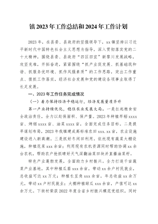 镇2023年工作总结和2024年工作计划（20231211）