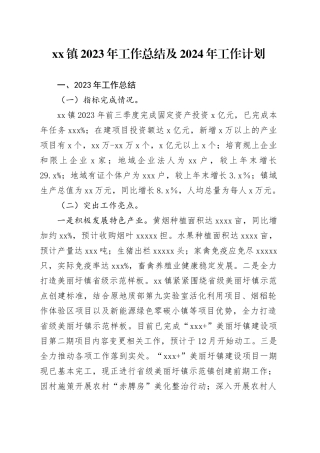 镇2023年工作总结及2024年工作计划（20231121）