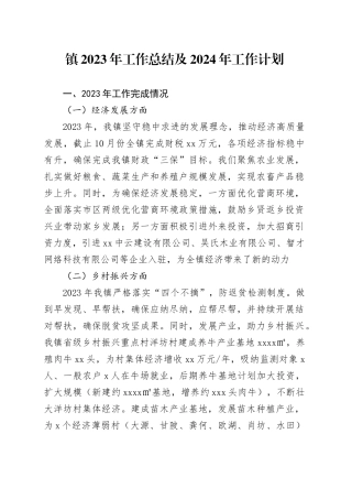 镇2023年工作总结及2024年工作计划（20231211）