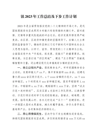 镇2023年工作总结及下步工作计划(1)