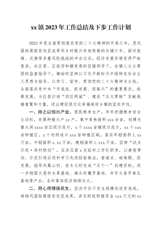 镇2023年工作总结及下步工作计划