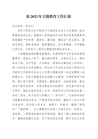镇2023年主题教育工作汇报