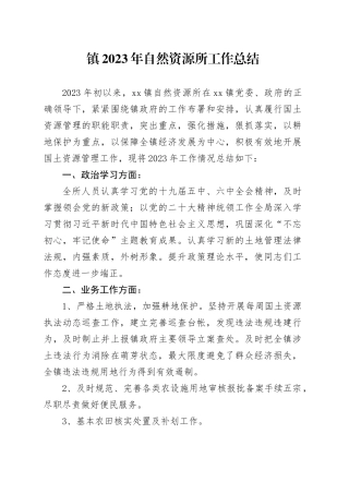 镇2023年自然资源所工作总结