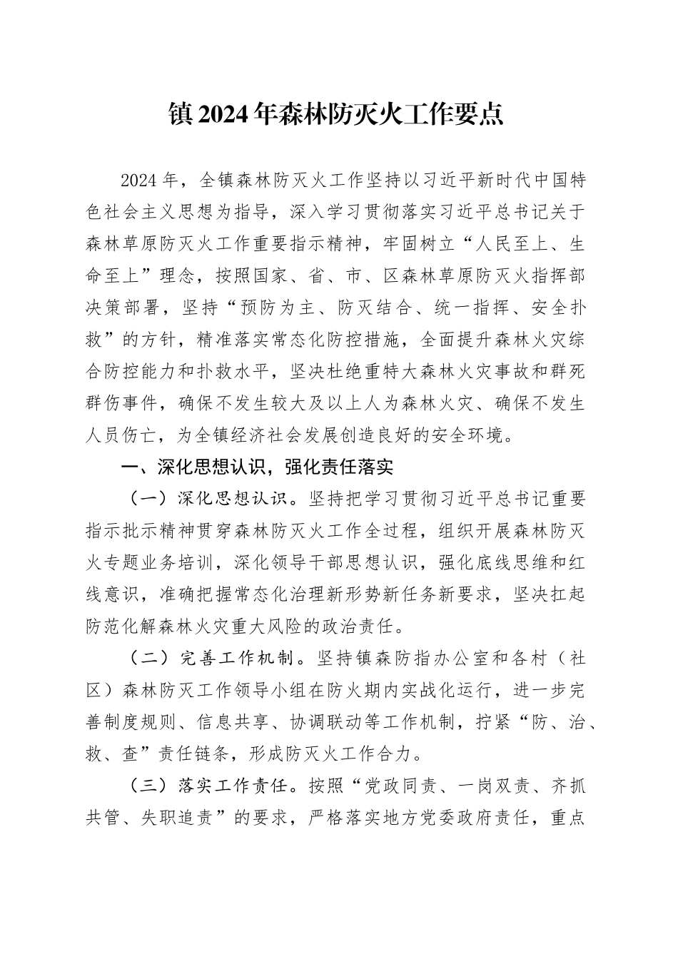 镇2024年森林防灭火工作要点_第1页