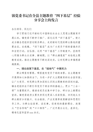 镇党委书记在全县主题教育“四下基层”经验分享会上的发言
