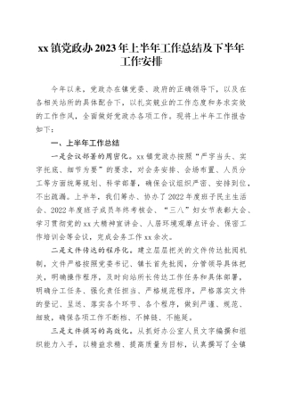 镇党政办2023年上半年工作总结及下半年工作安排