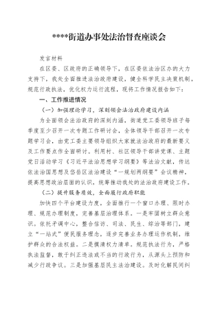 镇街道建设法治政府座谈会docx