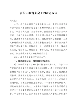 镇长警示教育表态发言