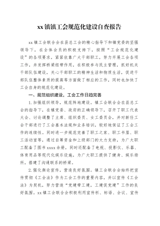 镇镇工会规范化建设自查报告