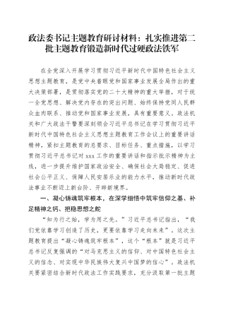 政法委书记主题教育研讨材料：扎实推进第二批主题教育+锻造新时代过硬政法铁军
