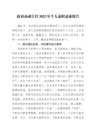 政府办副主任2023年个人述职述廉报告