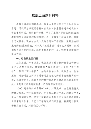 政治忠诚剖析材料