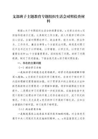支部班子主题教育专题组织生活会对照检查材料 （1）