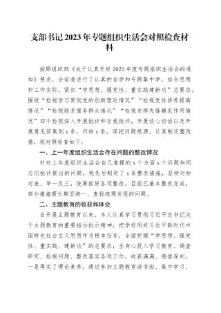 支部书记2023年专题组织生活会对照检查材料