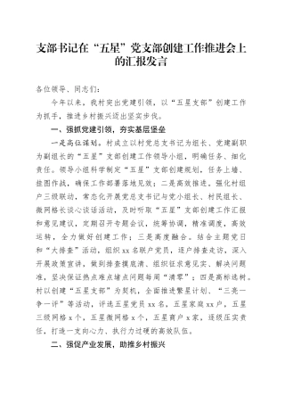 支部书记在“五星”党支部创建工作推进会上的汇报发言