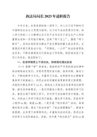 执法局局长2023年述职报告