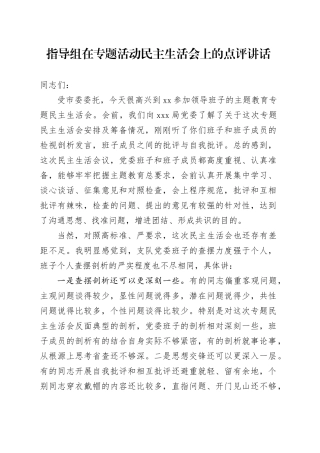 指导组在主题教育活动民主生活会上的点评讲话