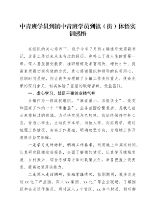 中青班学员到镇中青班学员到镇（街）体悟实训感悟
