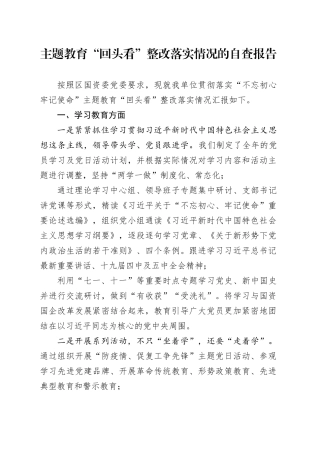 主题教育“回头看”整改落实情况的自查报告（1）