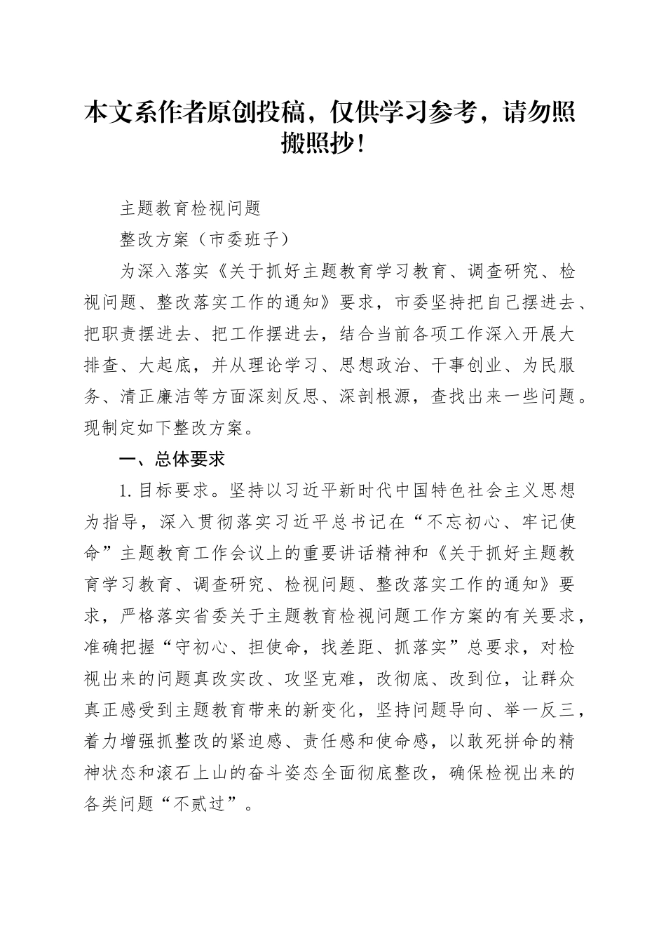 主题教育检视问题整改方案班子_第1页