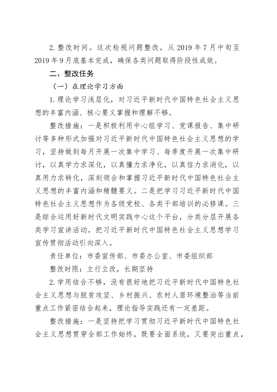 主题教育检视问题整改方案班子_第2页
