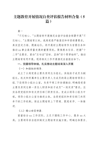 主题教育开展情况自查评估报告材料合集（5篇）