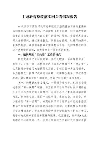 主题教育整改落实回头看情况报告