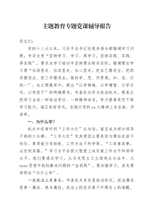 主题教育专题党课辅导报告 （4）