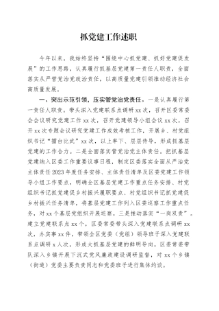 抓党建工作述职