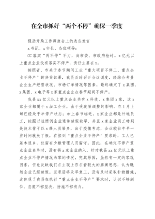 抓好“两个不停”确保一季度强劲开局调度会上的表态发言