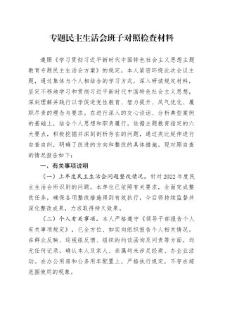 专题民主生活会班子对照检查材料（新六个方面）