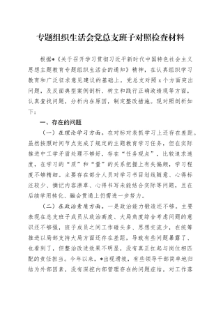 专题组织生活会党总支班子对照检查材料