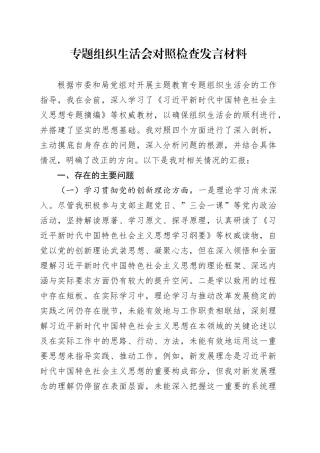 专题组织生活会对照检查发言材料（四个方面）