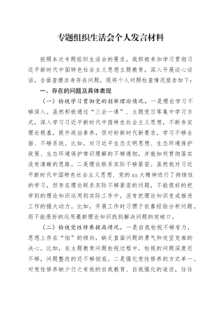 专题组织生活会个人发言材料（四个方面）