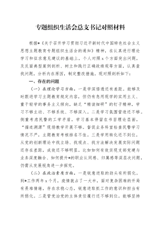 专题组织生活会总支书记对照材料