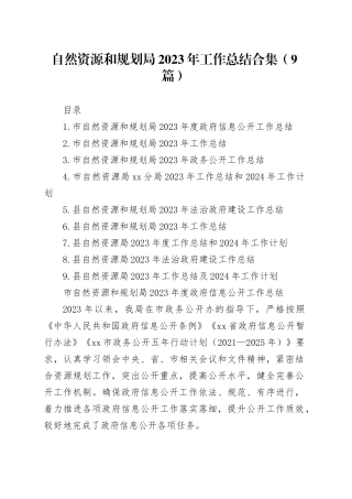 自然资源和规划局2023年工作总结合集（9篇）
