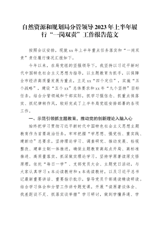 自然资源和规划局分管领导2023年上半年履行“一岗双责”工作报告范文