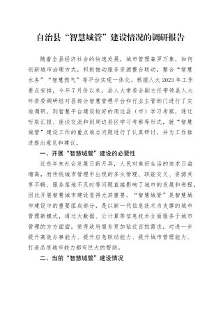 自治县“智慧城管”建设情况的调研报告