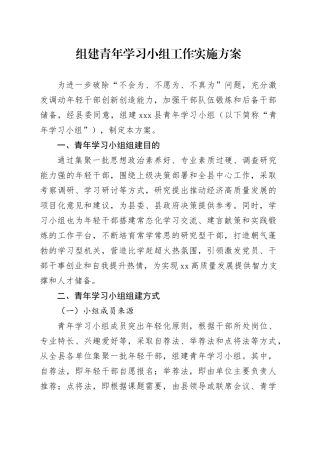 组建青年学习小组工作实施方案