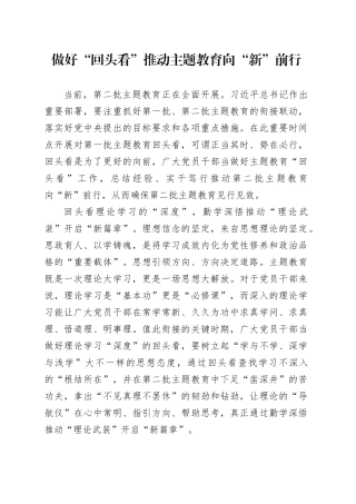 做好“回头看”推动主题教育向“新”前行