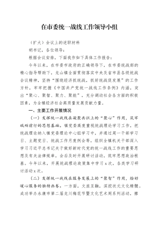 （书记汇报）在市委统一战线工作领导小组（扩大）会议上的述职材料（1500字）