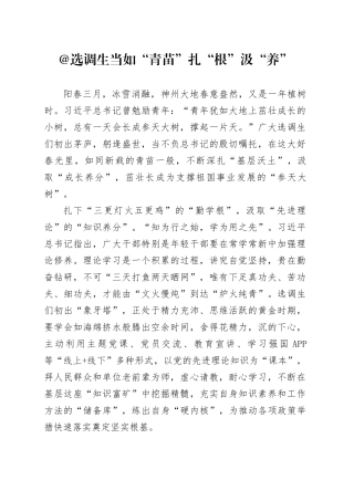 @选调生 当如“青苗” 扎“根”汲“养”