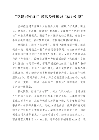 “党建+合作社”激活乡村振兴“动力引擎”